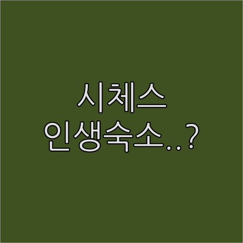 스페인 시체스 호텔 추천 가성비부터 ..