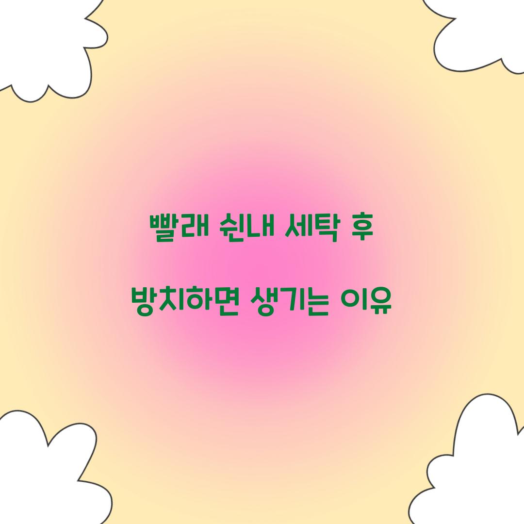 빨래 쉰내 세탁 후 방치하면 생기는 이유 