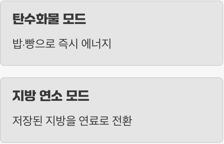 우리 몸의 에너지원&amp;#44; 탄수화물 vs 지방