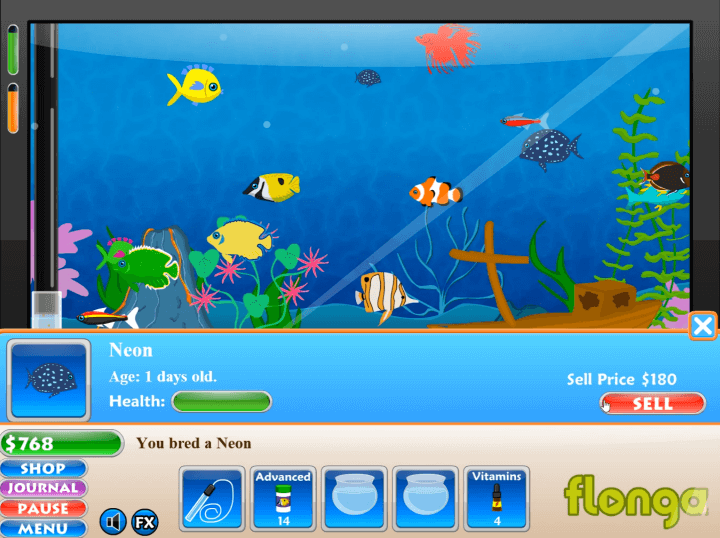 물고기-키우기-플래시게임-플레이-교배를-시도하여-태어난-물고기를-판매하는-장면