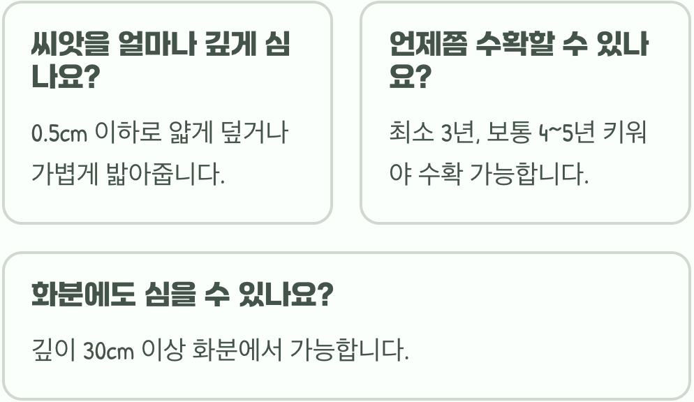봄 파종 vs 가을 파종&amp;#44; 도라지꽃 씨앗 심기 언제가 더 좋을까?