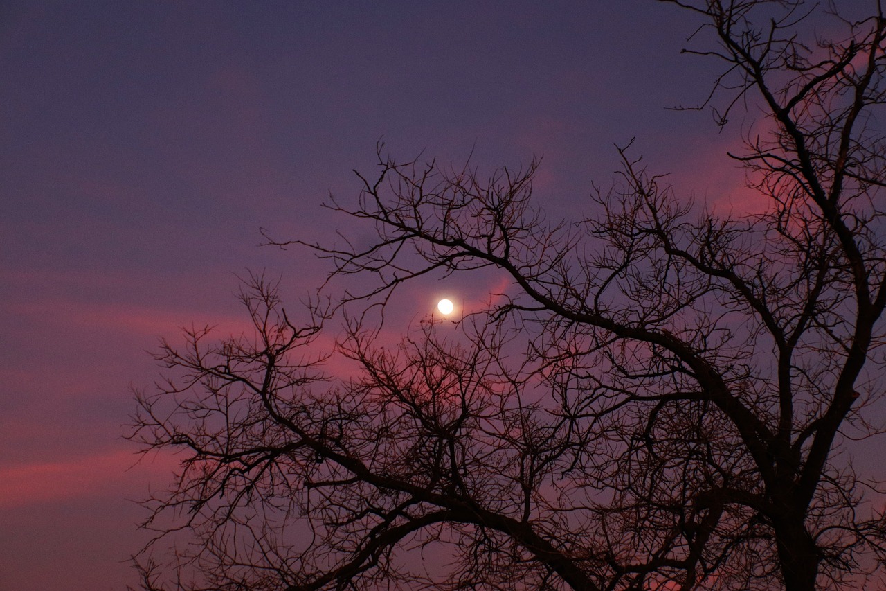 미스터리 관련 이미지