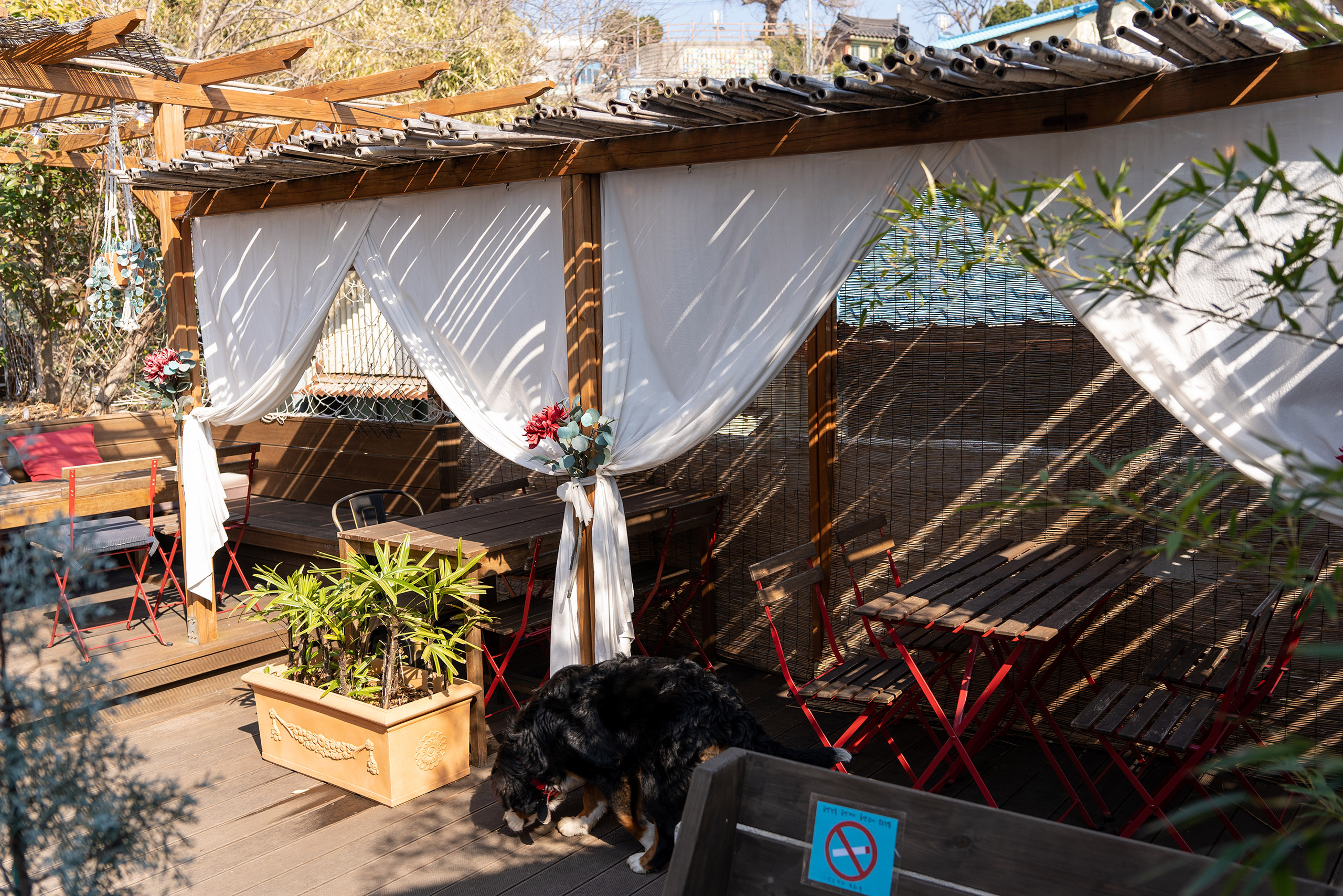 카멜리아 인 구룡포 2층 실외