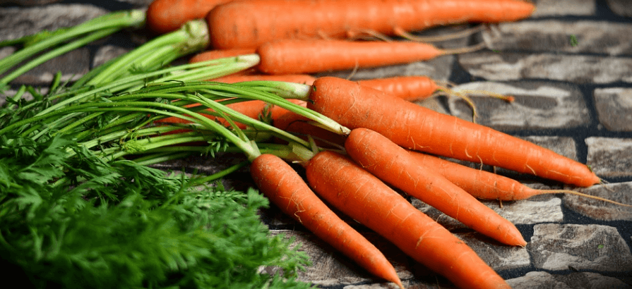 췌장에 좋은 음식 사진 당근