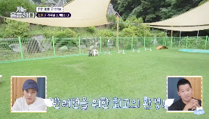 넓고 정돈된 푸른 잔디의 반려견 운동장