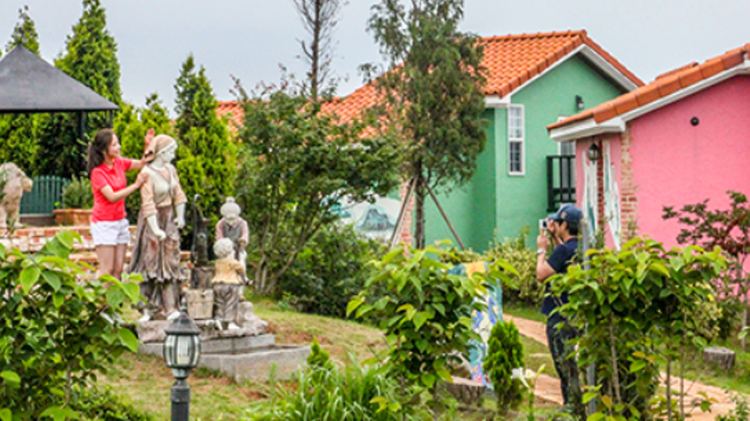 팜카밀레 허브농원