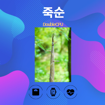 죽순 알아보기