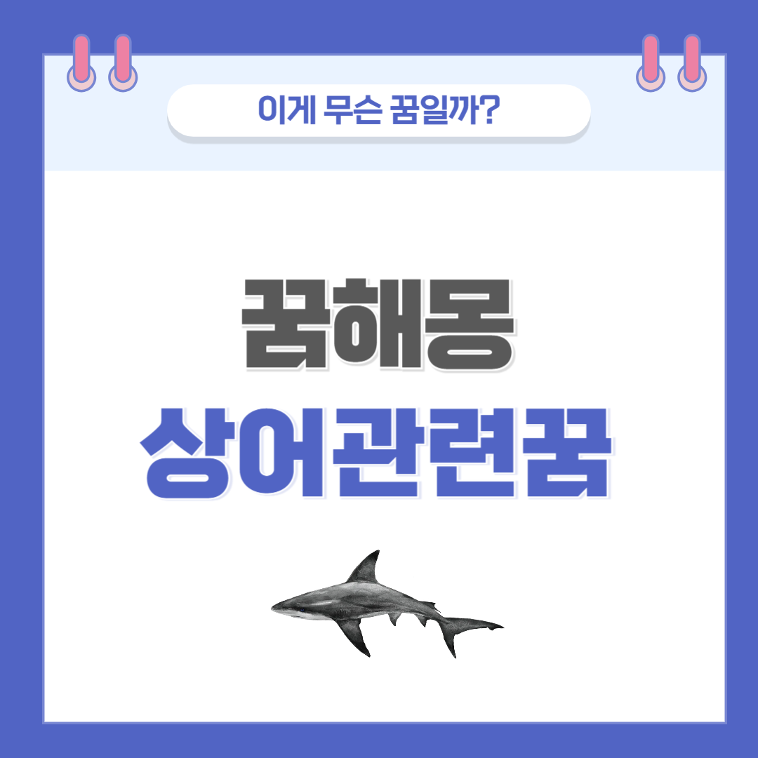 [꿈해몽] 상어 나오는 꿈 의미와 해석