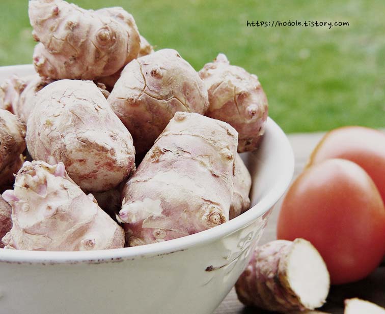 그릇에 담겨있는 돼지감자