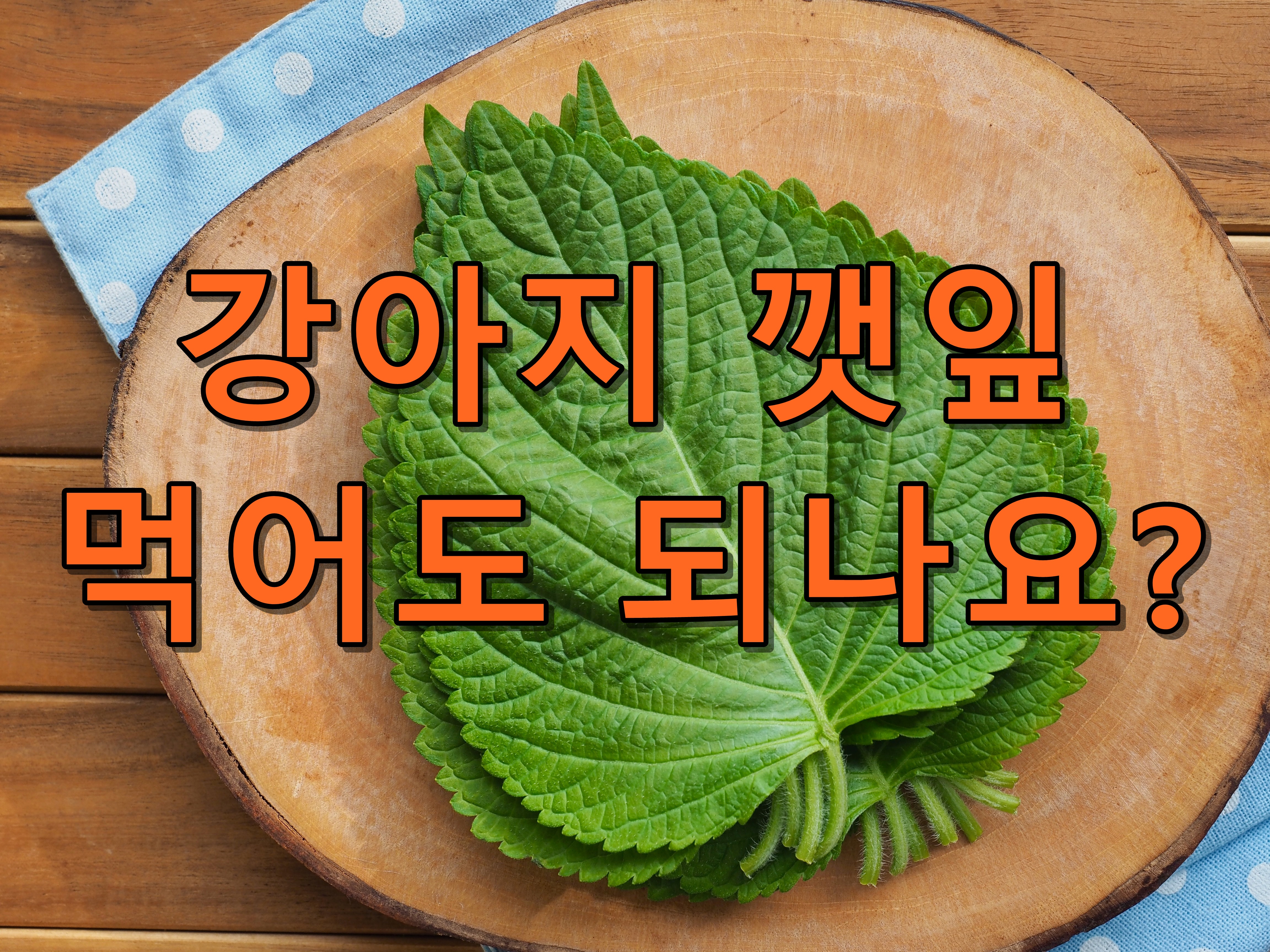강아지 깻잎 먹어도 되나요?