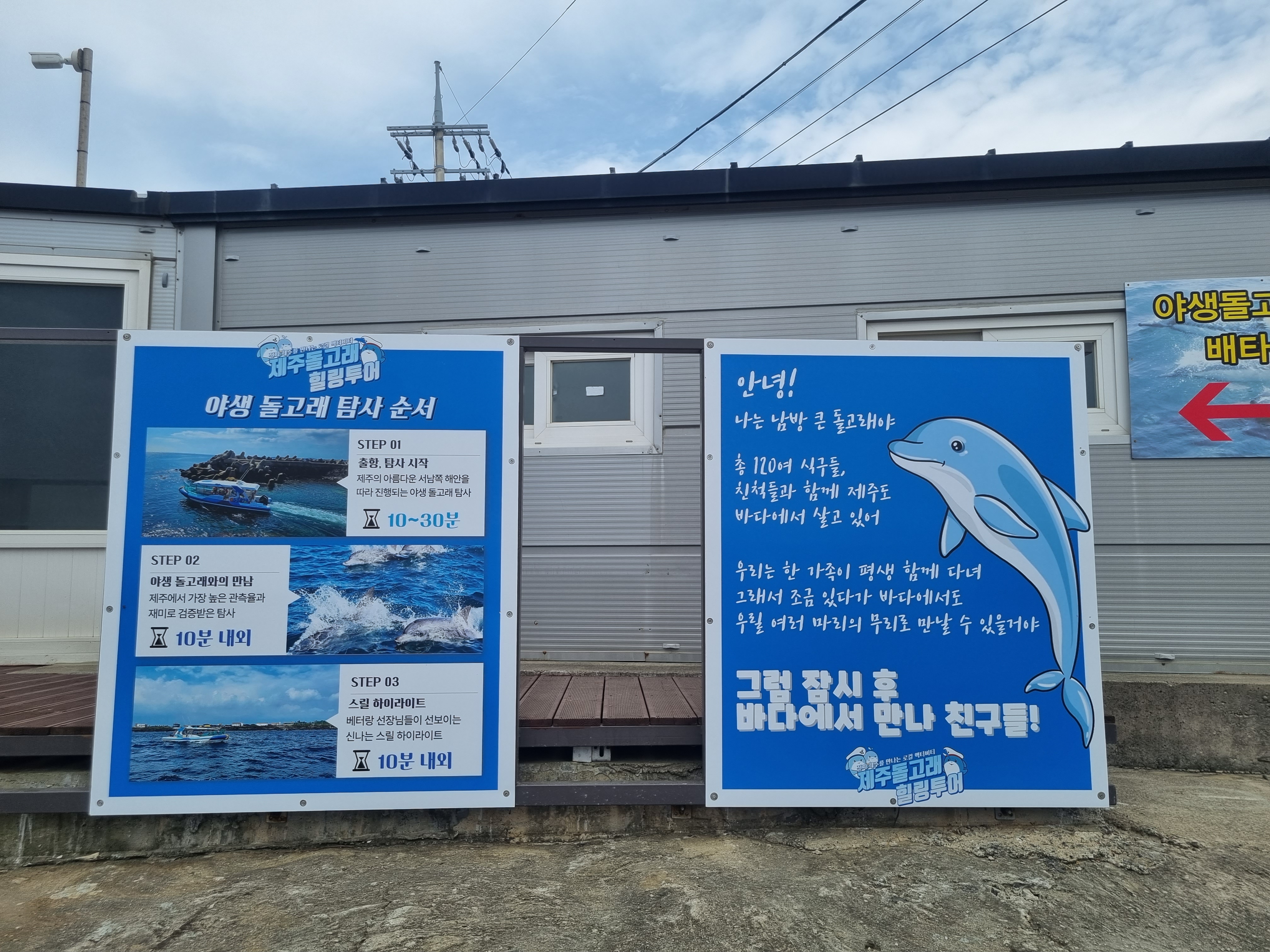 제주돌고래 힐링투어