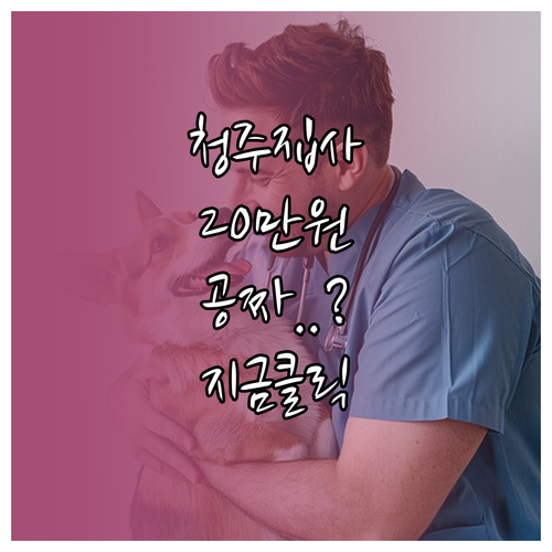 청주 반려동물 병원비 20만원 지원 ..