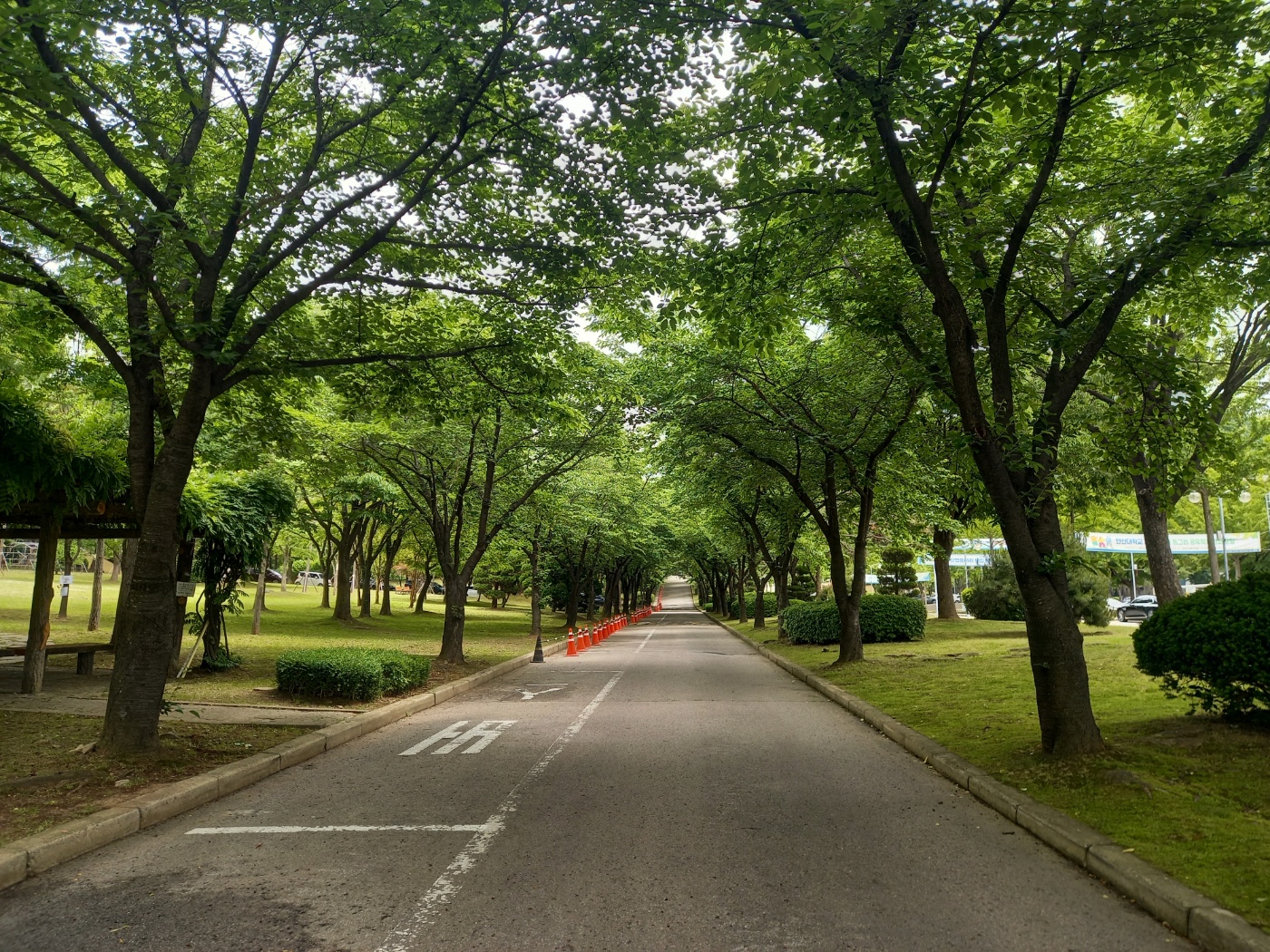 안산대학교 캠퍼스