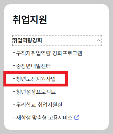 2025 청년도전 지원사업 고용24 카테고리
