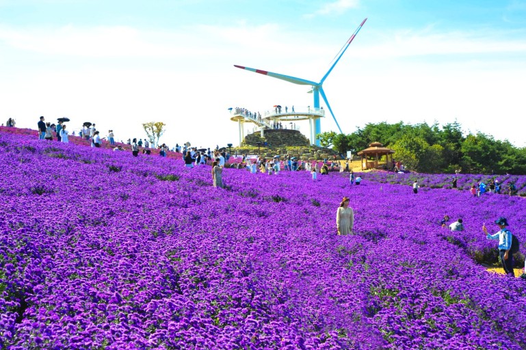 별바람언덕1
