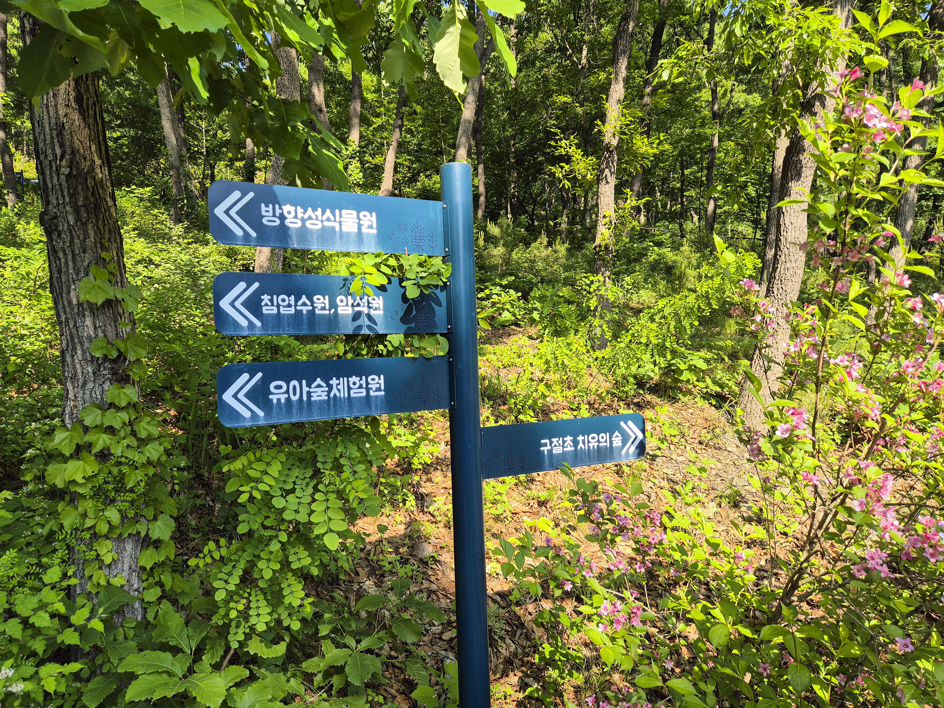 다양한 체험 장소