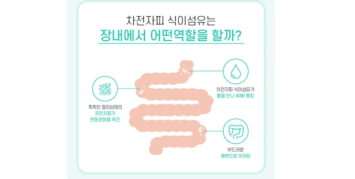 식이섬유-차전자피-효과-장내-연동운동-쾌변활동