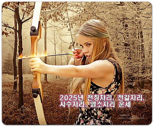 2025년 사수자리 운세