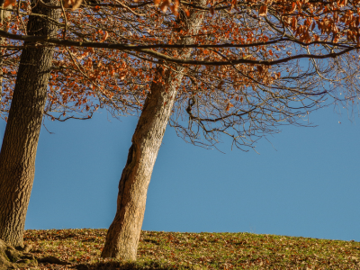 BDSM 테스트 성향 테스트 심층 심리테스트 아직도 안해보셨나요?
