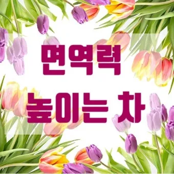 면역력 높이는 하루 루틴과 시간대별 건강 습관_17