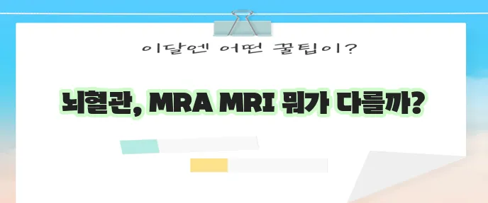 mra와 mri의 차이 검사 비용 가격 뇌혈관