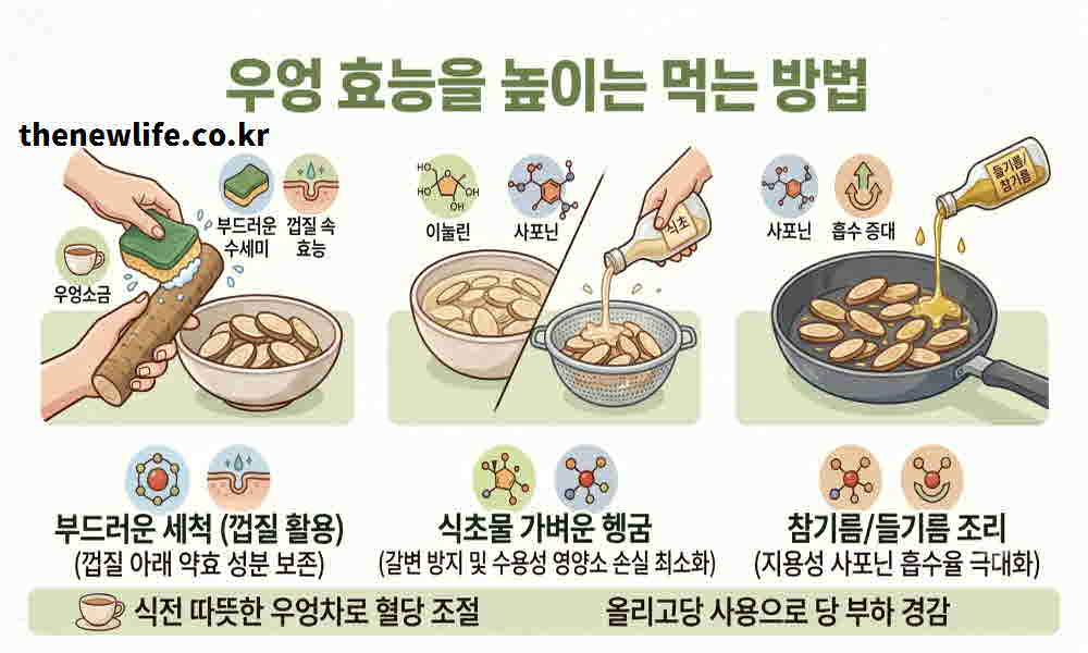 우엉 효능 높이는 먹는 방법