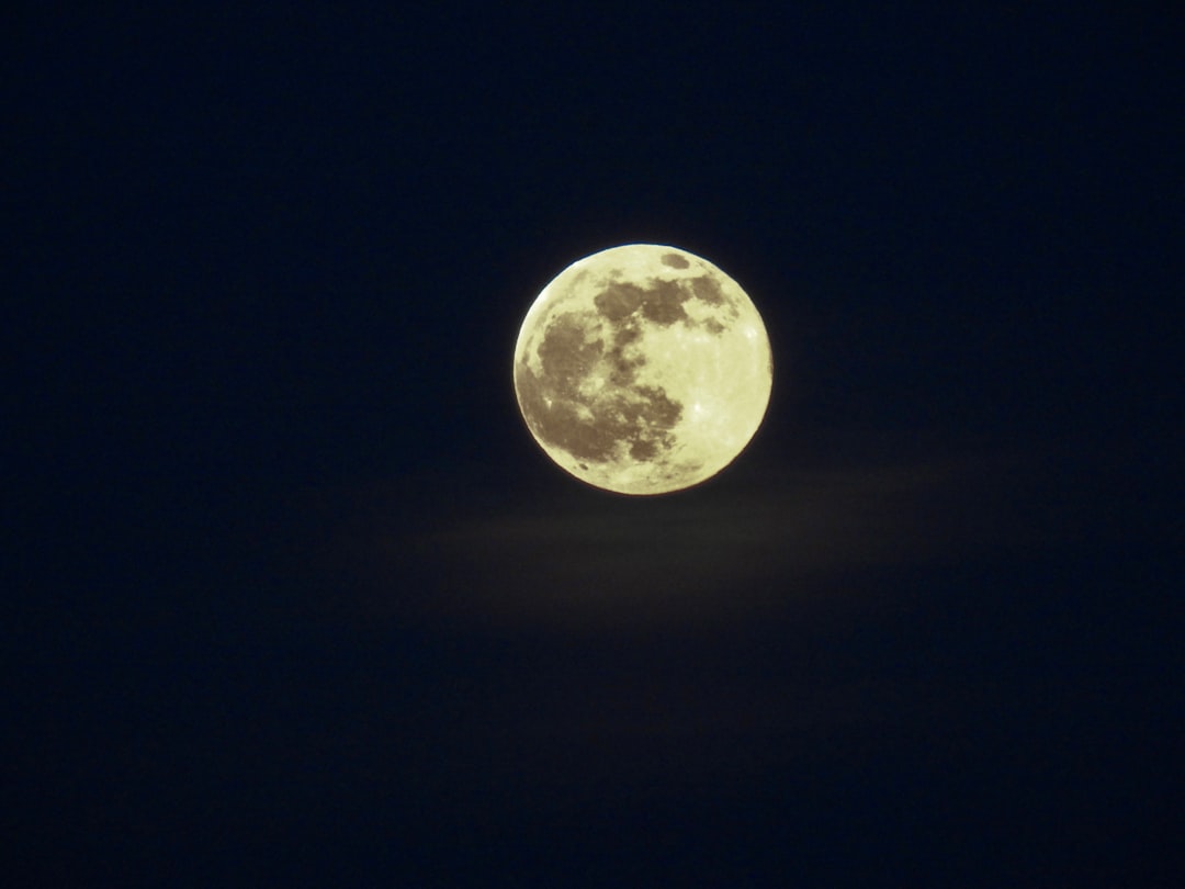 'Moonlight'