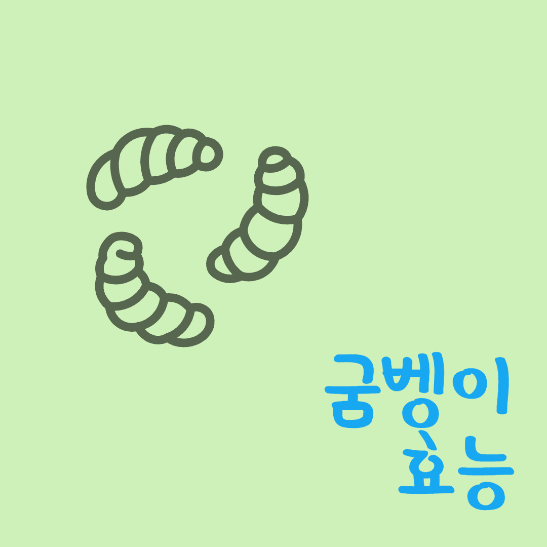 굼벵이 효능