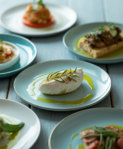 올리브오일 효능