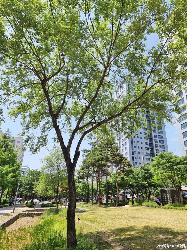 공덕역 경의선 숲길