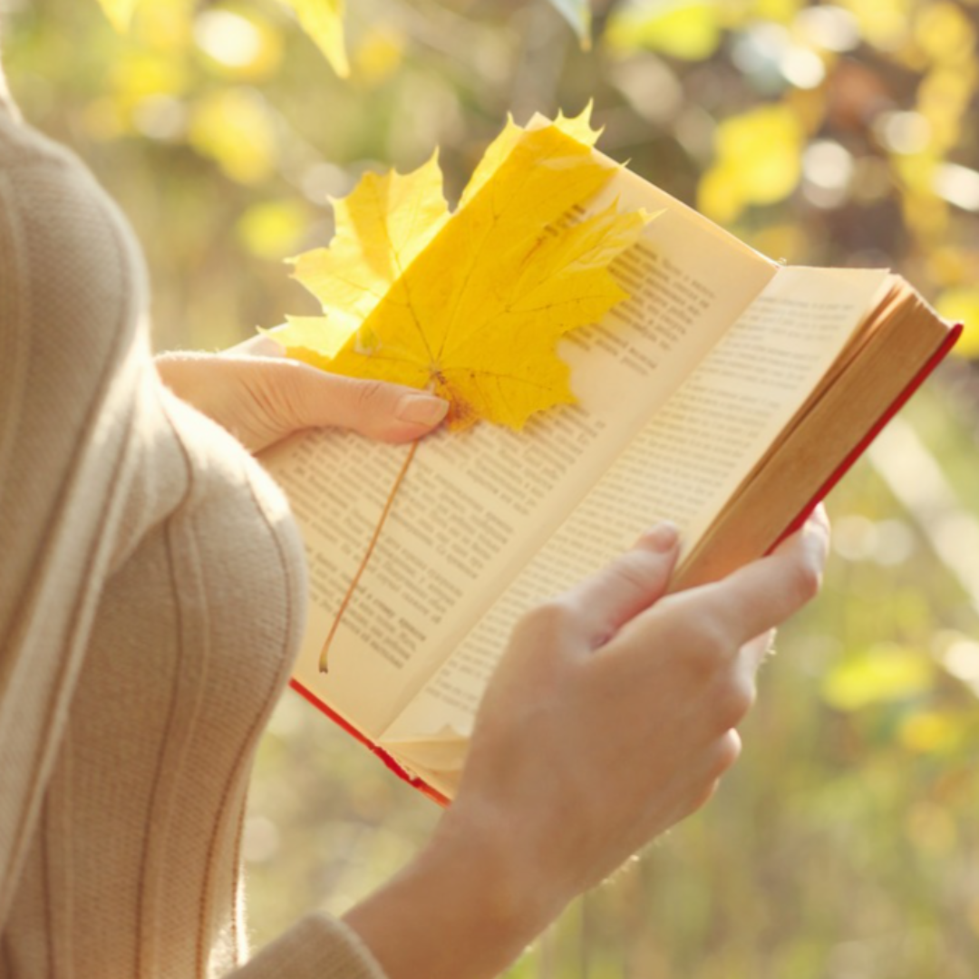 2025년 독서 관련 사진