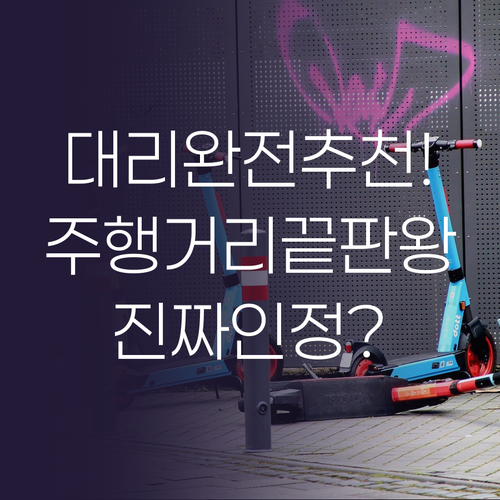 장거리 주행의 끝판왕 E-Motion..