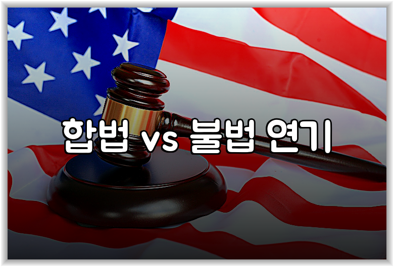 합법 vs 불법 연기