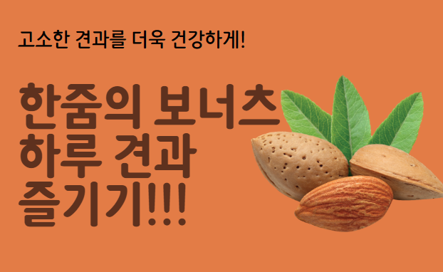 한줌의 보너츠