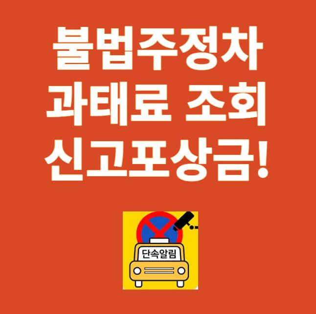 불법주정차 과태료 조회 신고 썸네일
