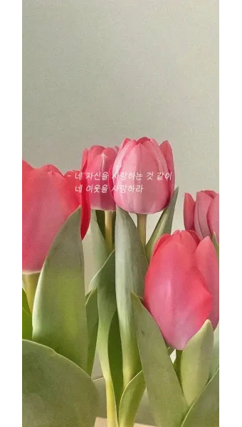 매일성경묵상과 실천(누가복음 10장 25-42절) 누가 내 참된 이웃입니까?_24