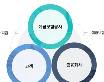 예금자 보호법 1억 시행시기 알아보기