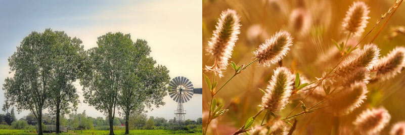 2025년 손없는 날 길일 음력 양력 달력