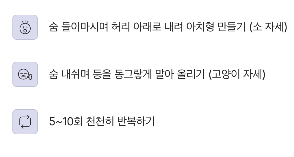 3. 등을 쭉 펴주는 ‘고양이-소 자세’