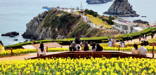 해맞이 공원
