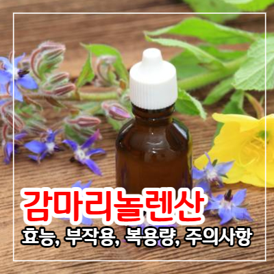 감마리놀렌산 효능 6가지와 부작용 및 복용량과 주의사항