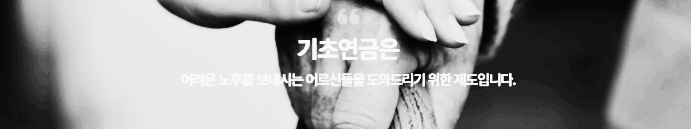 기초연금 제도 목적