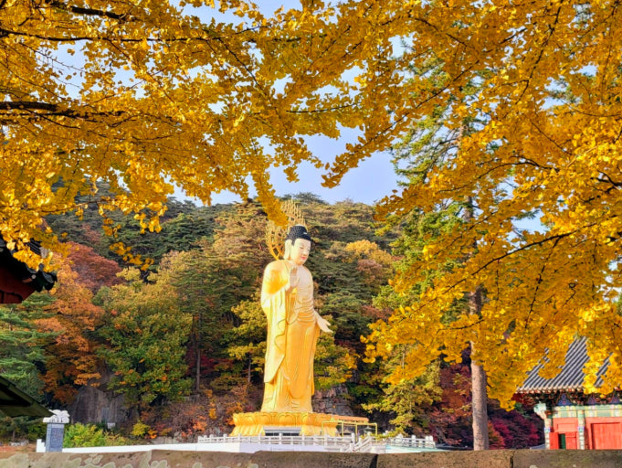 충북 단풍명소 TOP5 ❘ 가볼만한 곳 여행 추천 관련 사진