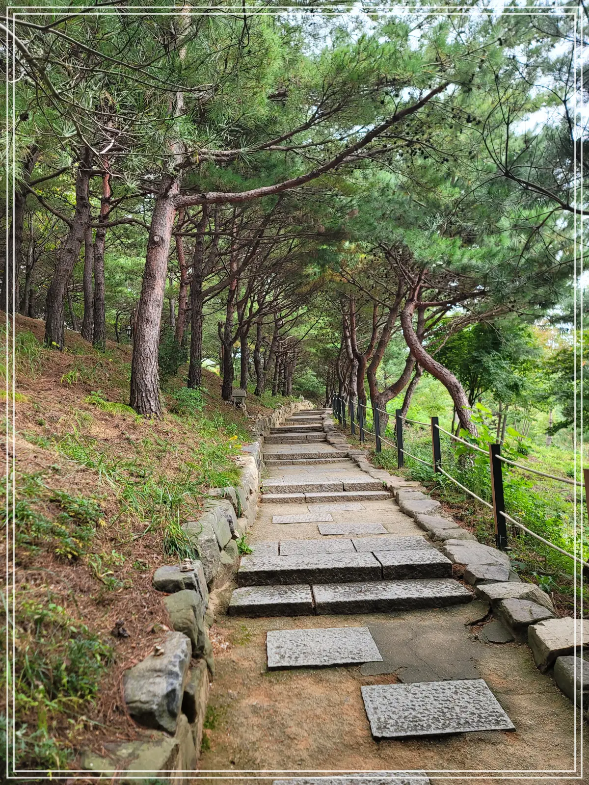 양양-낙산사-꿈이-이루어지는-길-계단길