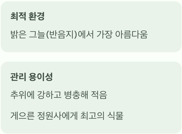 어디에 심든, '반그늘'을 좋아해요