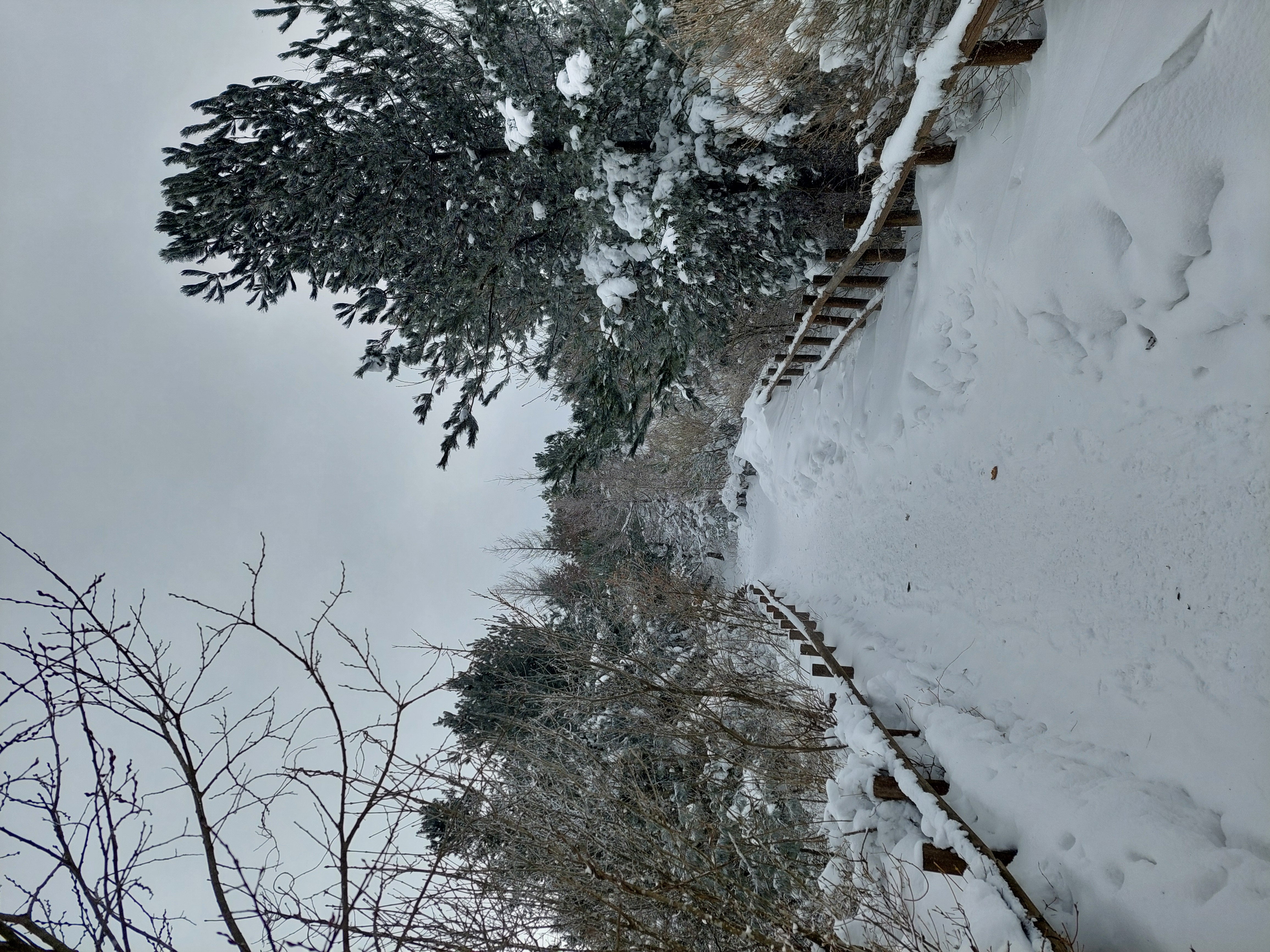 바래봉