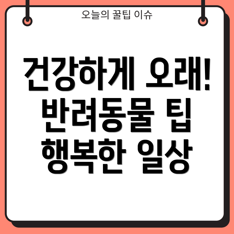 반려동물 건강 관리