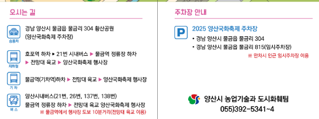 양산 국화꽃 축제 주차장