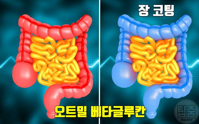 슈퍼푸드 오트밀 효능 콜레스테롤,오트밀 먹는법