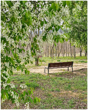 경북천년숲정원